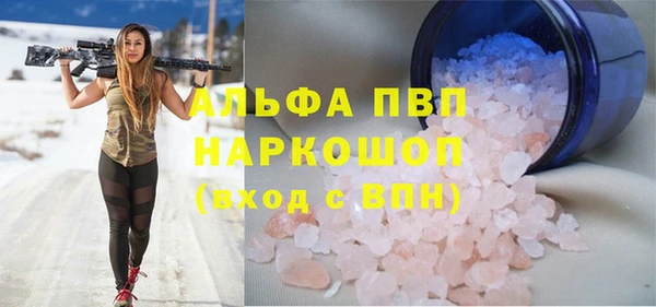 сатива Богданович