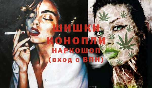 сатива Богданович