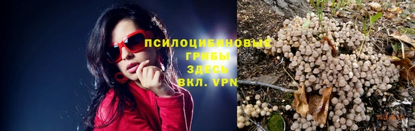 а пвп мука Богородск