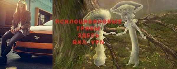 сатива Богданович